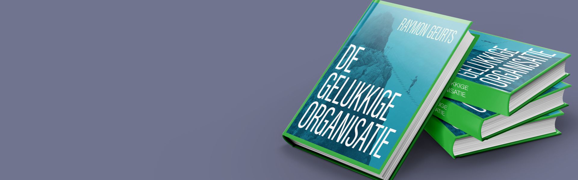 De gelukkige organisatie: organisatieontwikkeling vanuit betekenis