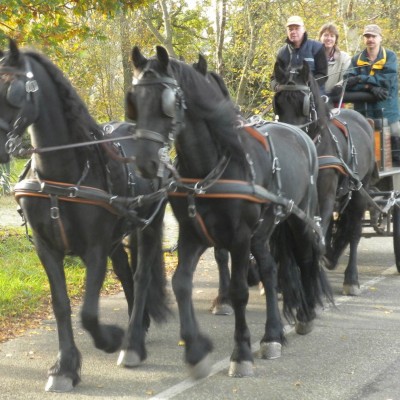 Adri-Jan van der Velden