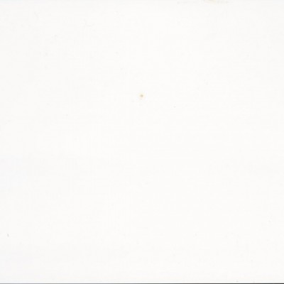 Kevin Hollander
